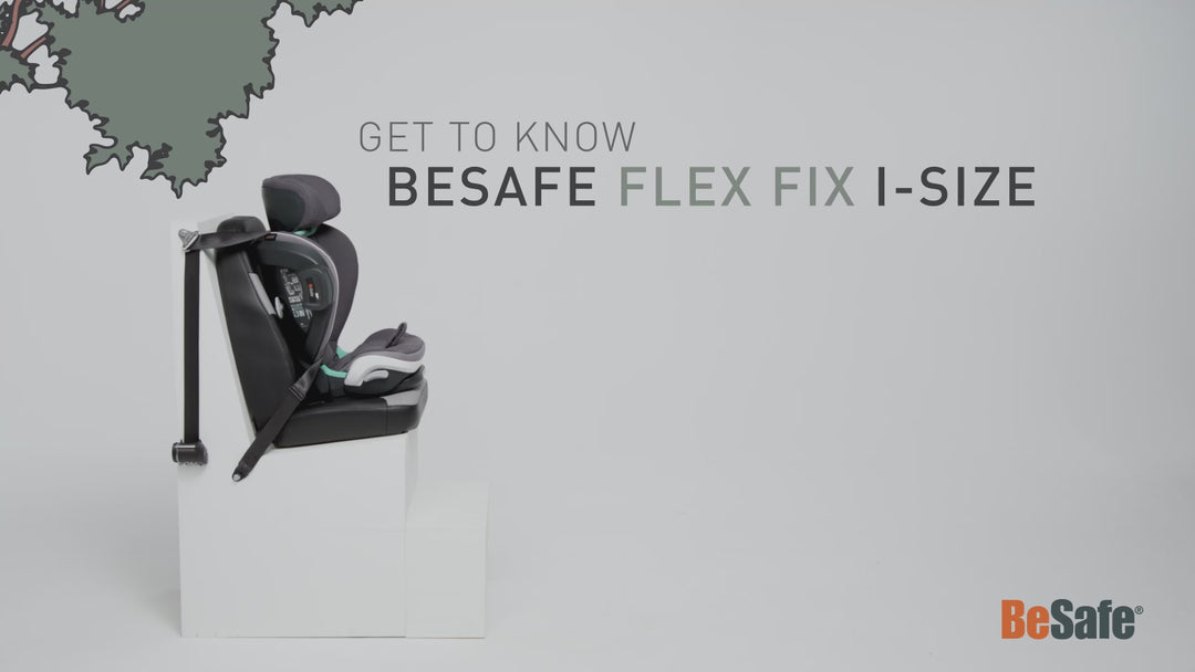 BeSafe Flex Fix 2