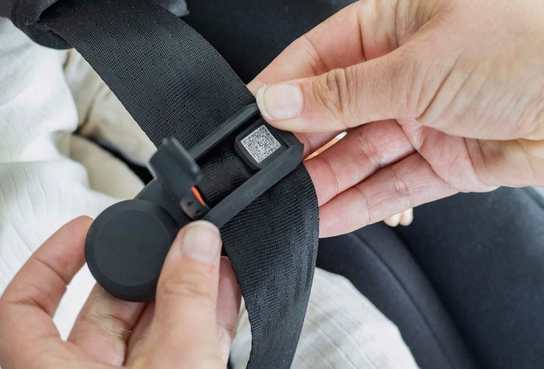 Besafe Belt Keeper